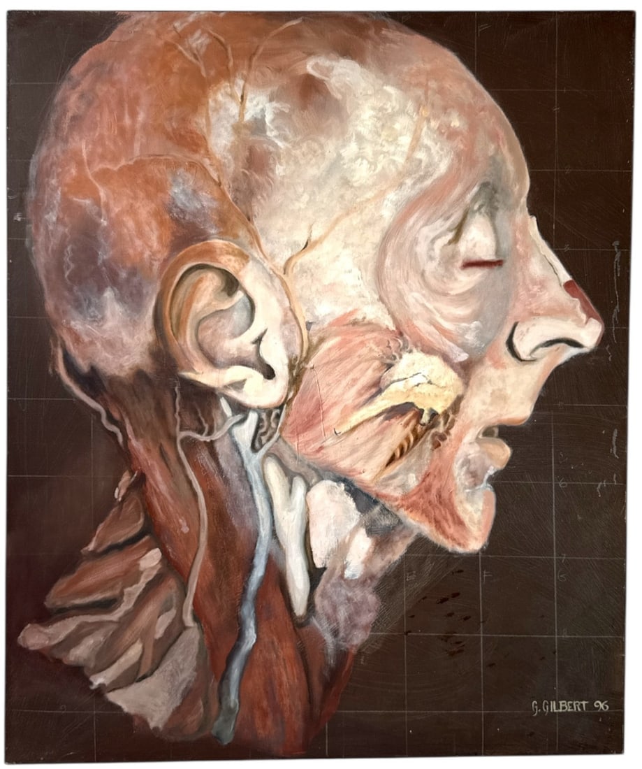 Large G. GILBERT 1996 Anatomical Head Study Mixed Media on Canvas (1 of 5)
