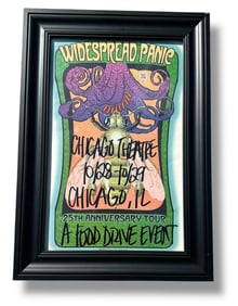 WIDESPREAD PANIC Framed 25th Anniversary Tour Concert Posters