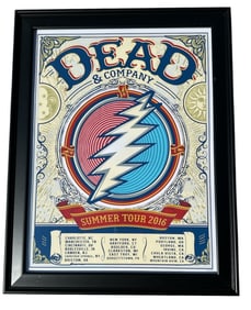 DEAD AND COMPANY Summer Concert 2016 Poster