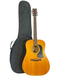 Vintage GEORGE WASHBURN D-12N Acoustic Guitar
