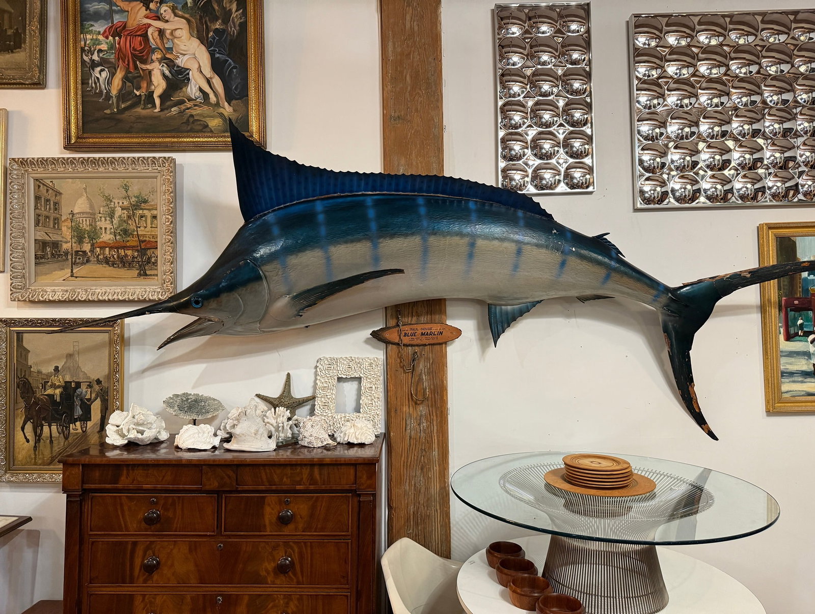 A Taxidermy Blue Marlin, 10 ft 10in: Caught June 20, 1974 in Kona, HI. Measures in at 10' 10". Approx 48" H x 19" D.