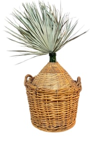 Larger Wicker Italian Demijohn