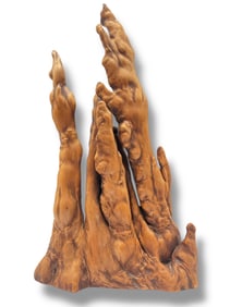 Mid Century Cypress Knee Wood Sculpture