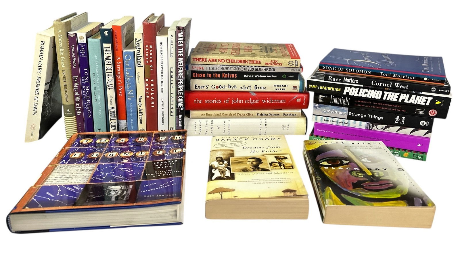 Collection of Modern & Contemporary African American Books: Collection include 6 first edition books, such as "Close to the Knives" by David Wojnarowicz, "Every Goodbye Ain't Gone" by Itabari Njeri, and more. Largest book measures 9.5" H x 8" W x 1.25" D.