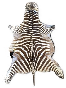 Zebra Hide Rug