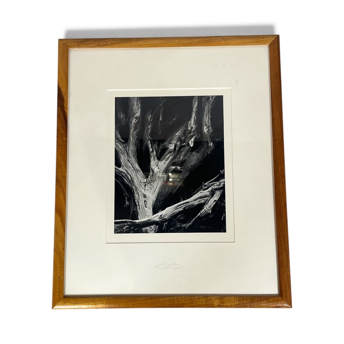 ANSEL ADAMS (American, 1902-1984) Sequoia Yosemite Special Edition Silver Gelatin Print (1 of 4)