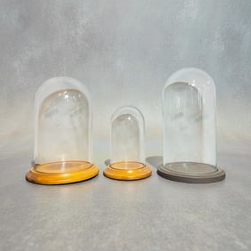 Three Vintage Glass Cloche Displays