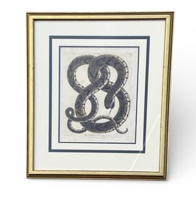 LINNAEUS Deadly Viper Print, London