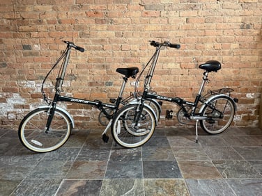A Pair of DAHON "Boardwalk" Folding Bicycles