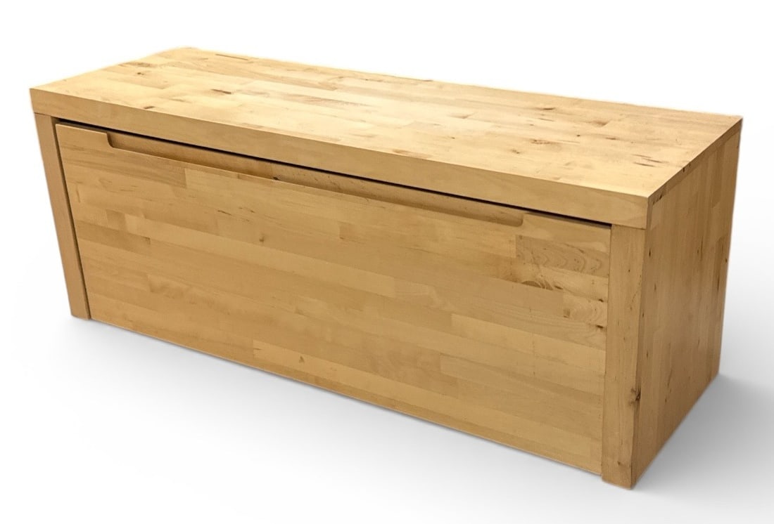 Sleek Modernist Storage Bench (1 of 4)