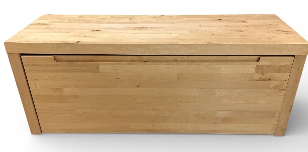 Sleek Modernist Storage Bench - 3