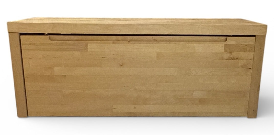 Sleek Modernist Storage Bench - 4