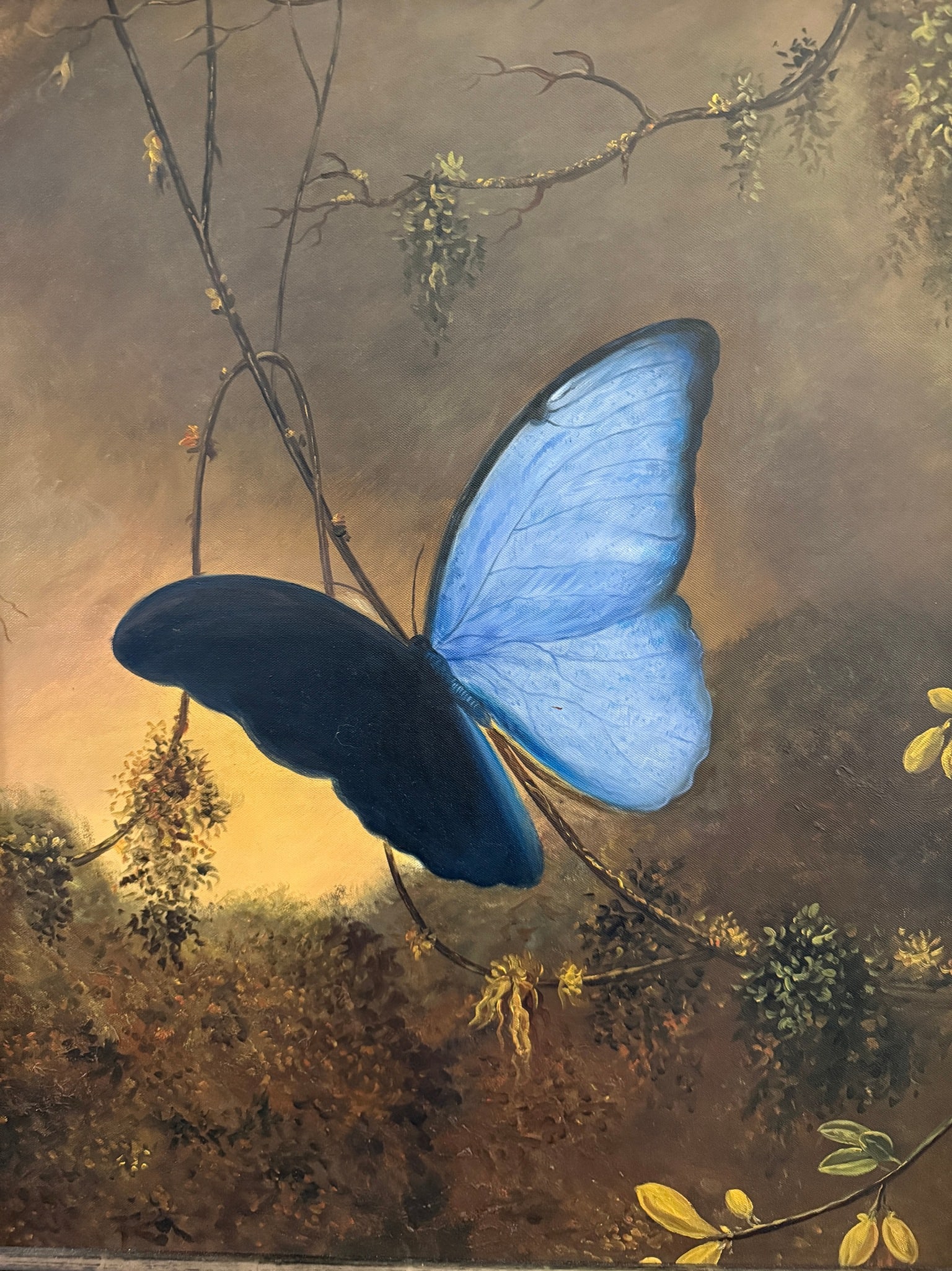 MARTIN JOHNSON HEADE (American, 1819-1904) "Blue Morpho Butterfly" Giclee: Giclee, reproduction. Measures in frame: 29" H x 24" W x 1" D.