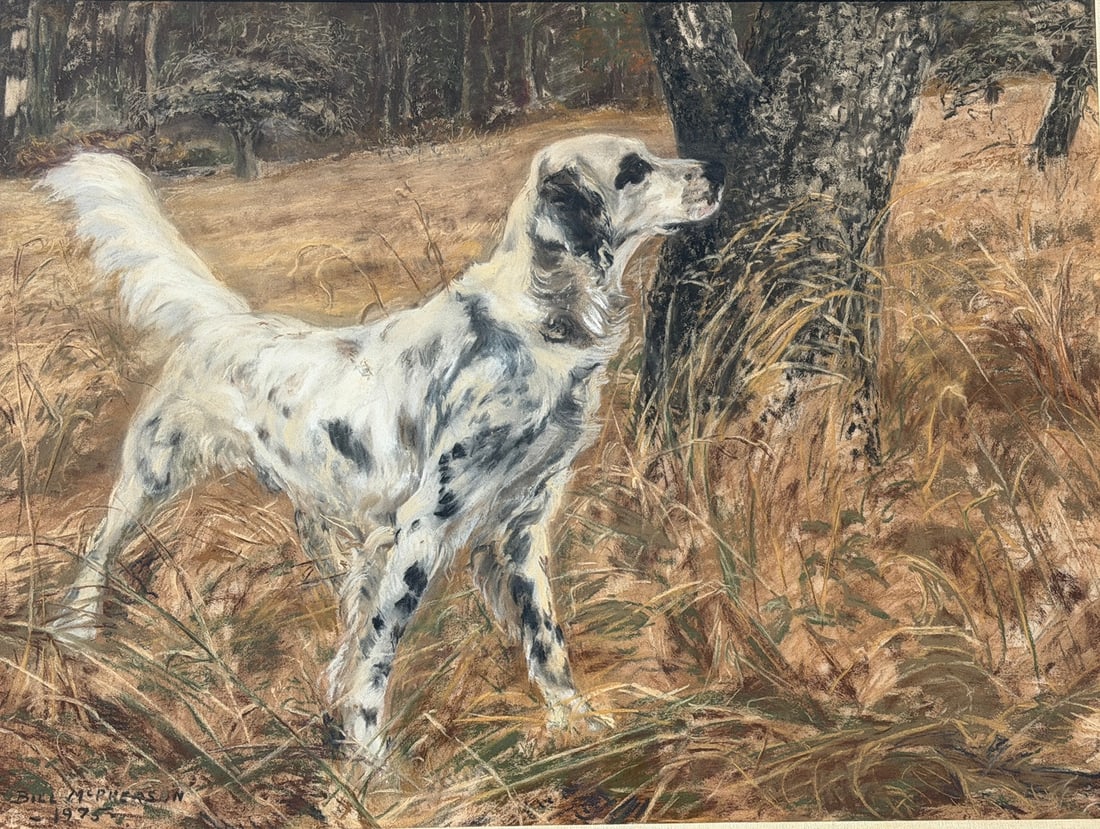 BILL MCPHERSON 1975 Pastel Drawing of English Setter: Measures 25.5" x 31.5" in the frame, 17.5" x 23.25" sight.