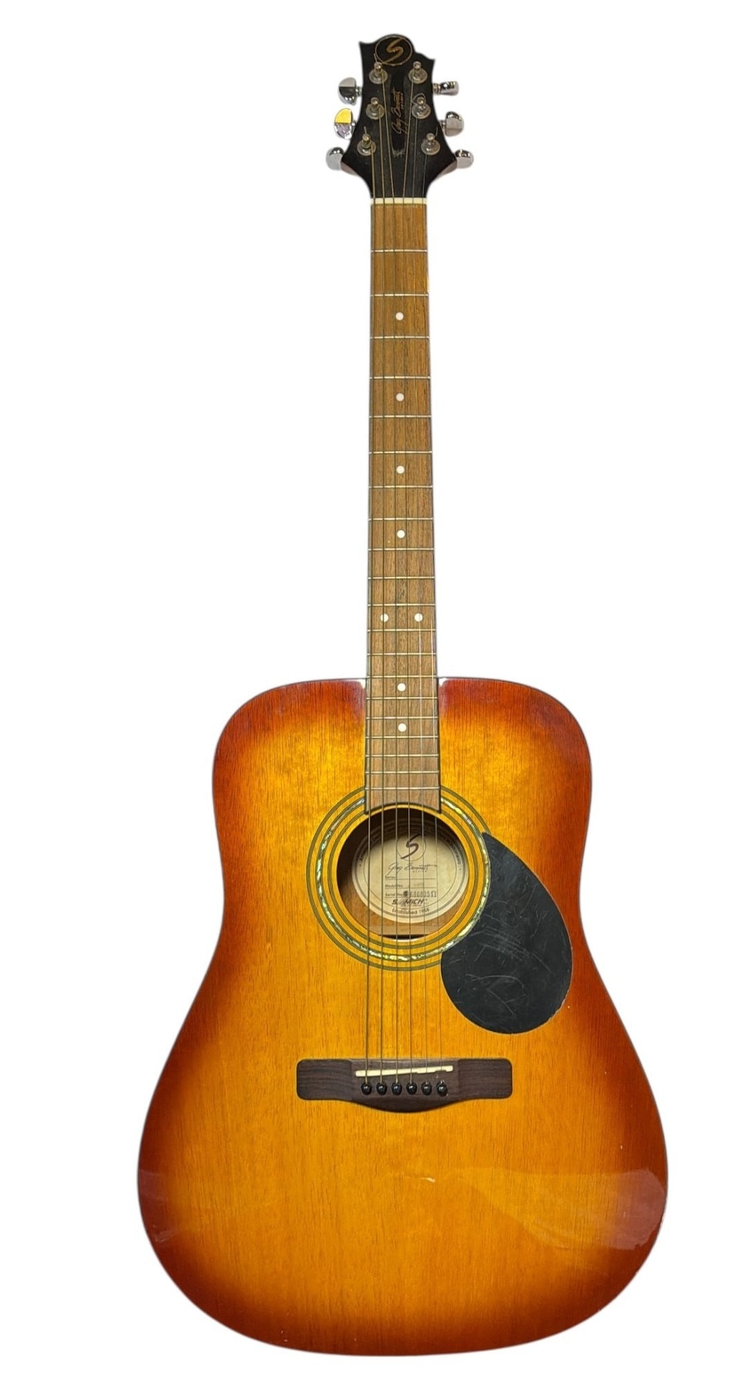 A GREG BENNETT Guitar (1 of 4)