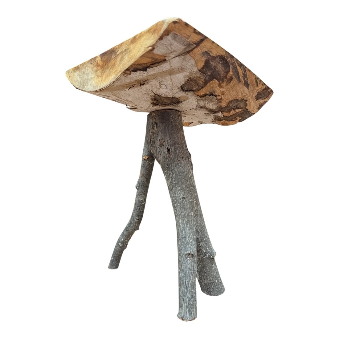 Hand Hewn Rustic Birch Bark Table - 3