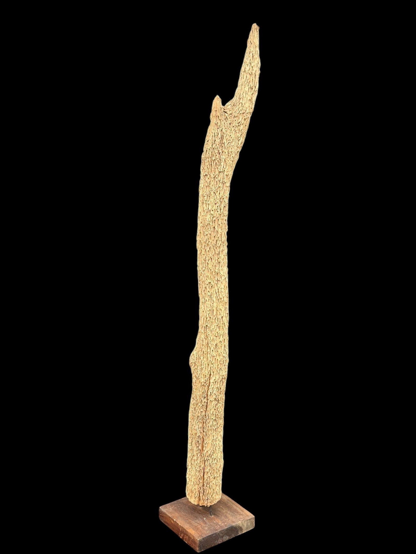 Life Size Mid Century Driftwood Sculptural Form: 69.5" H x ~ 6" diameter. Base measures 10" x 10".