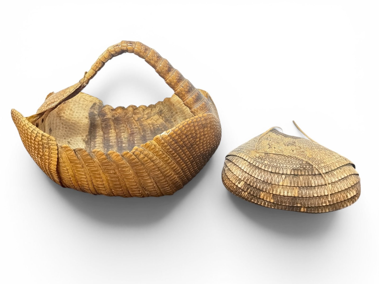 Two Armadillo Shell Taxidermy Baskets, Oddity - 2