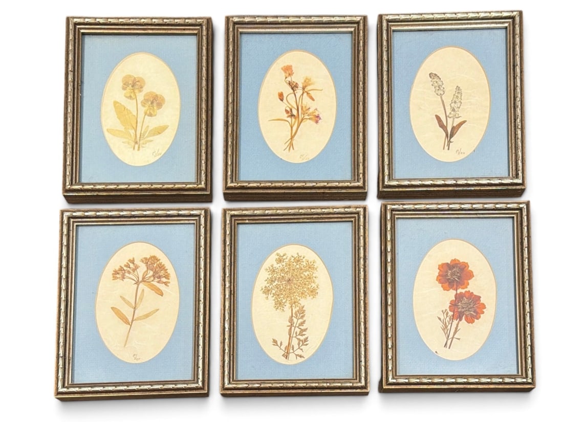 Collection French Botanical Flower Pressings in Frames (1 of 7)