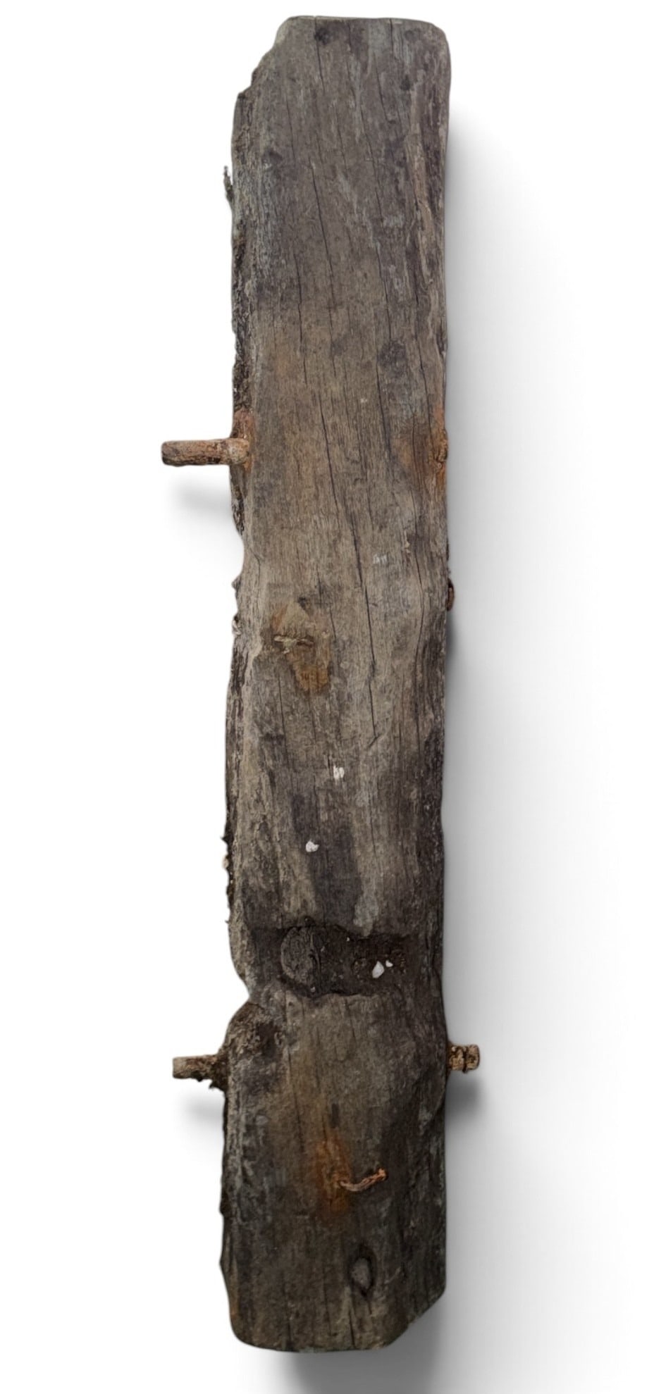 Large Salvage Shipwreck Timber