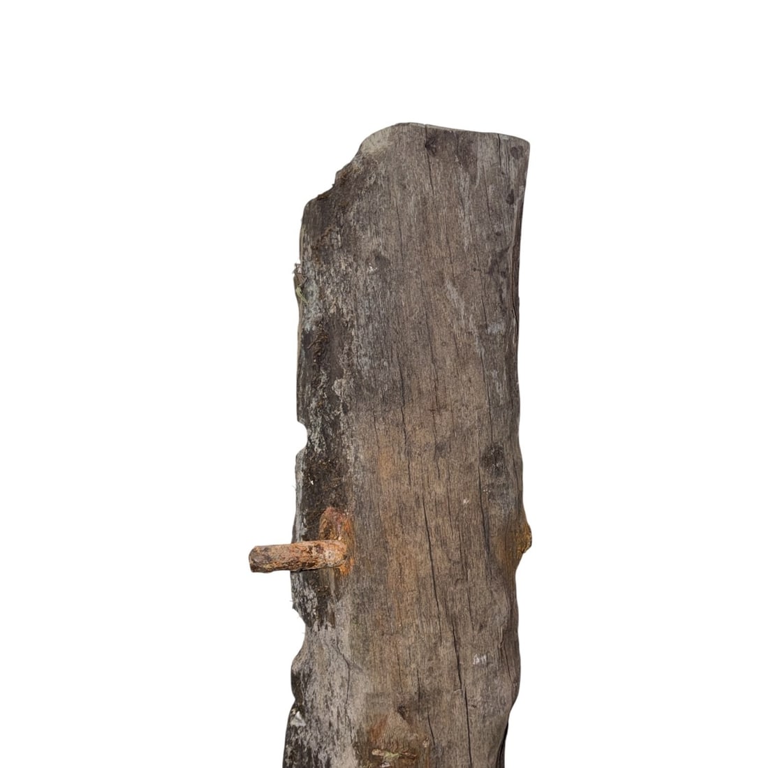 Large Salvage Shipwreck Timber - 2
