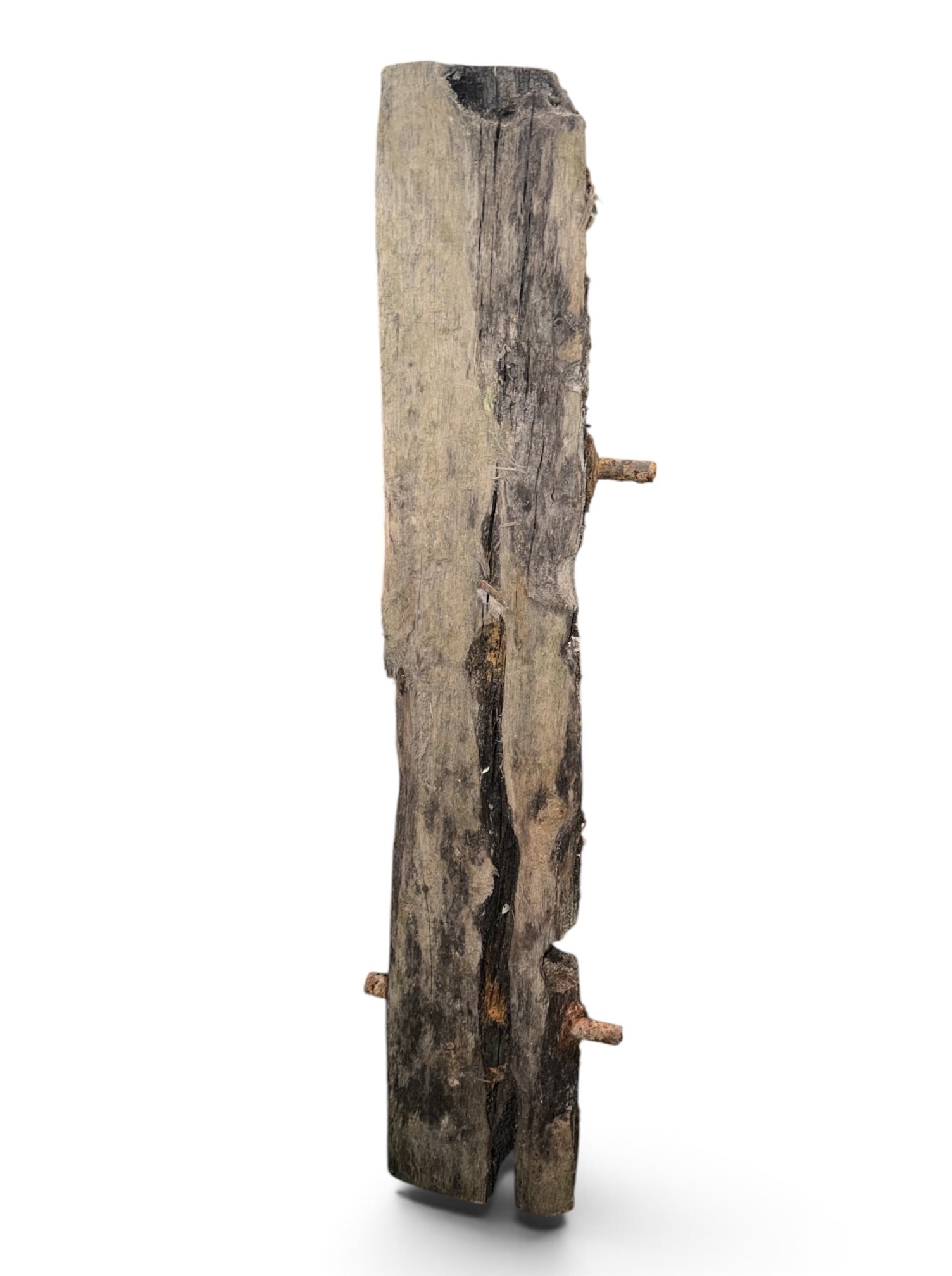 Large Salvage Shipwreck Timber - 4