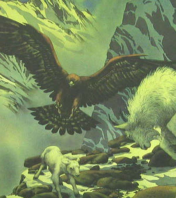 Bev Doolittle, Framed Art