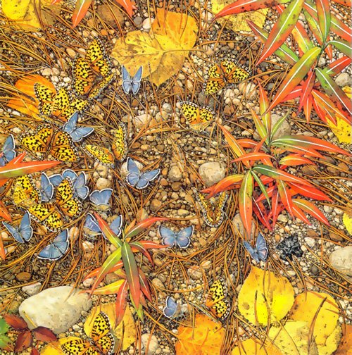 Bev Doolittle, Framed Art