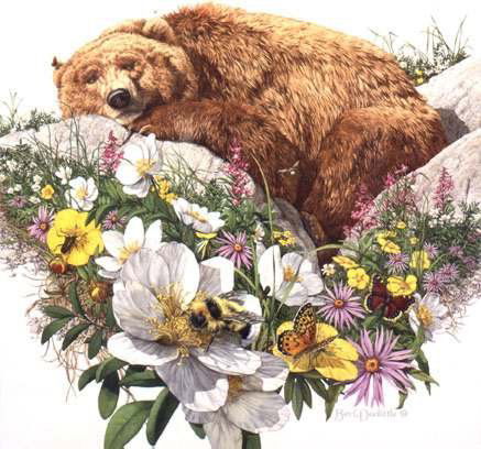 Bev Doolittle, Framed Art