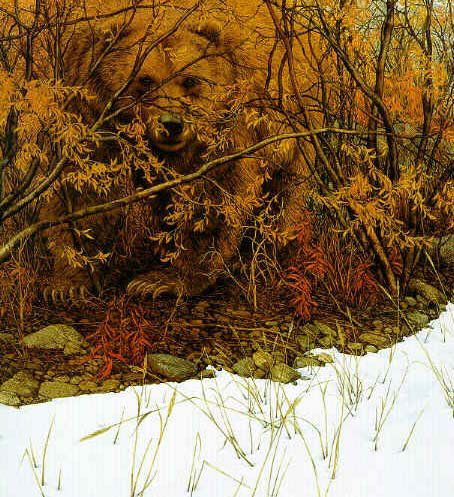 Bev Doolittle, Framed Art