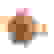item-53425181=2