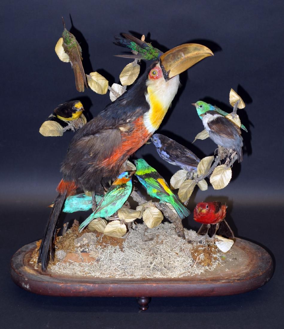 VICTORIAN BIRD DIORAMA (1 of 1)