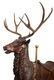 HIGEREDA BROS. REINDEER CAROUSEL ANIMAL - 3