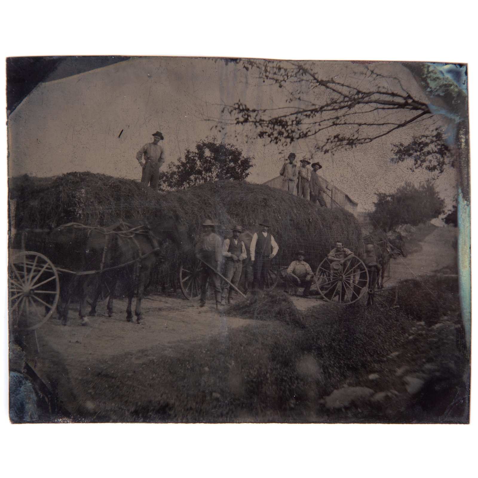 TINTYPE HAY WAGON: Quarter plate; image of wagons full of hay with ten workers; G-VG