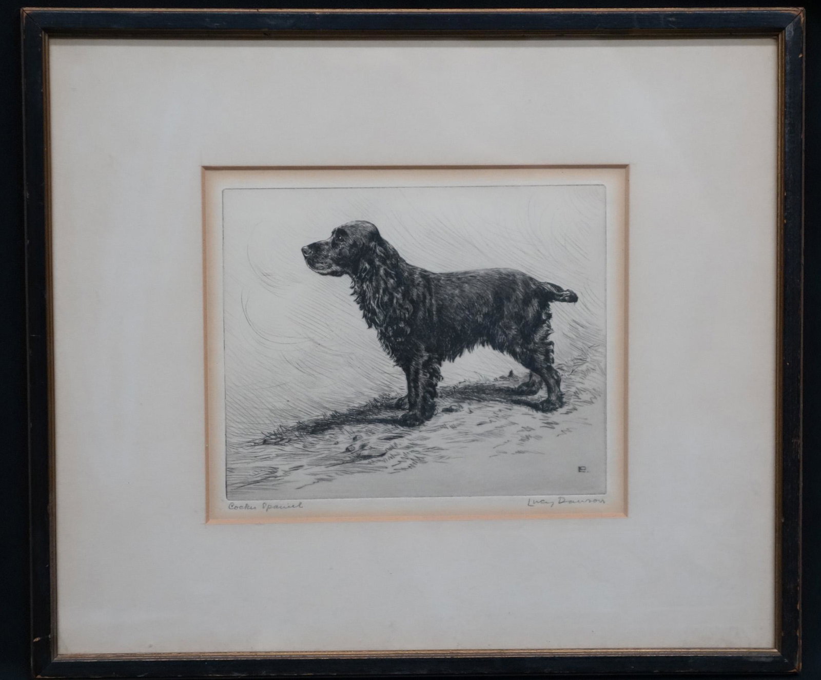 LUCY DAWSON COCKER SPANIEL: Etching signed in pencil; matted and framed; toning at edges; image- 6” x 7”; G-VG