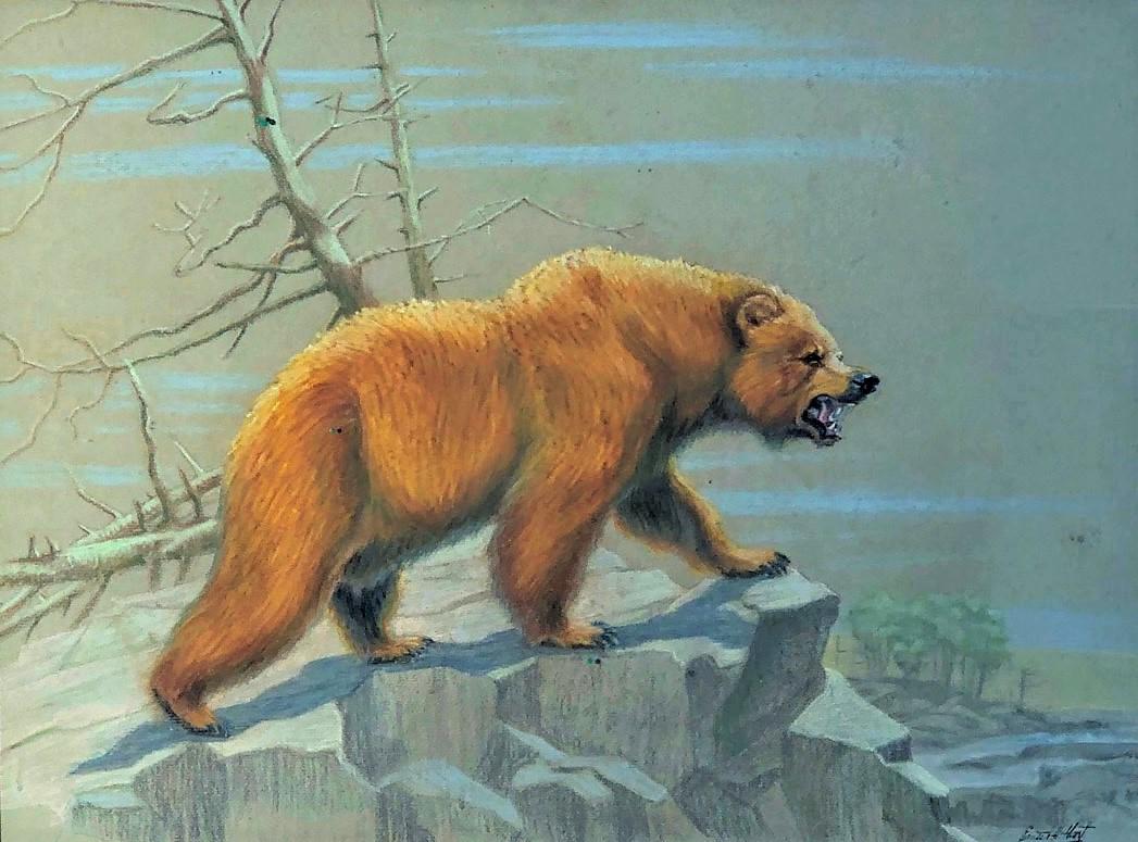E.H. HART GRIZZLY BEAR ILLUSTRATION: Pastel; signed Ernest H Hart; matting foxed; framed and matted; image- 16 1/2” x 21 1/2”; VG-EX