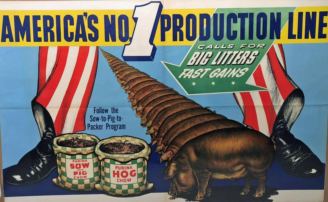 PURINA HOG CHOW ADVERTISEMENT: Poster; unframed; 38” x 59” x VG-EX