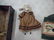 N. SAYER ARTIST DOLL in TRUNK - 12