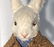 R. JOHN WRIGHT "THE WHITE RABBIT" - 2