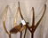 PRIMITIVE WOOD TOOLS (4) - 2