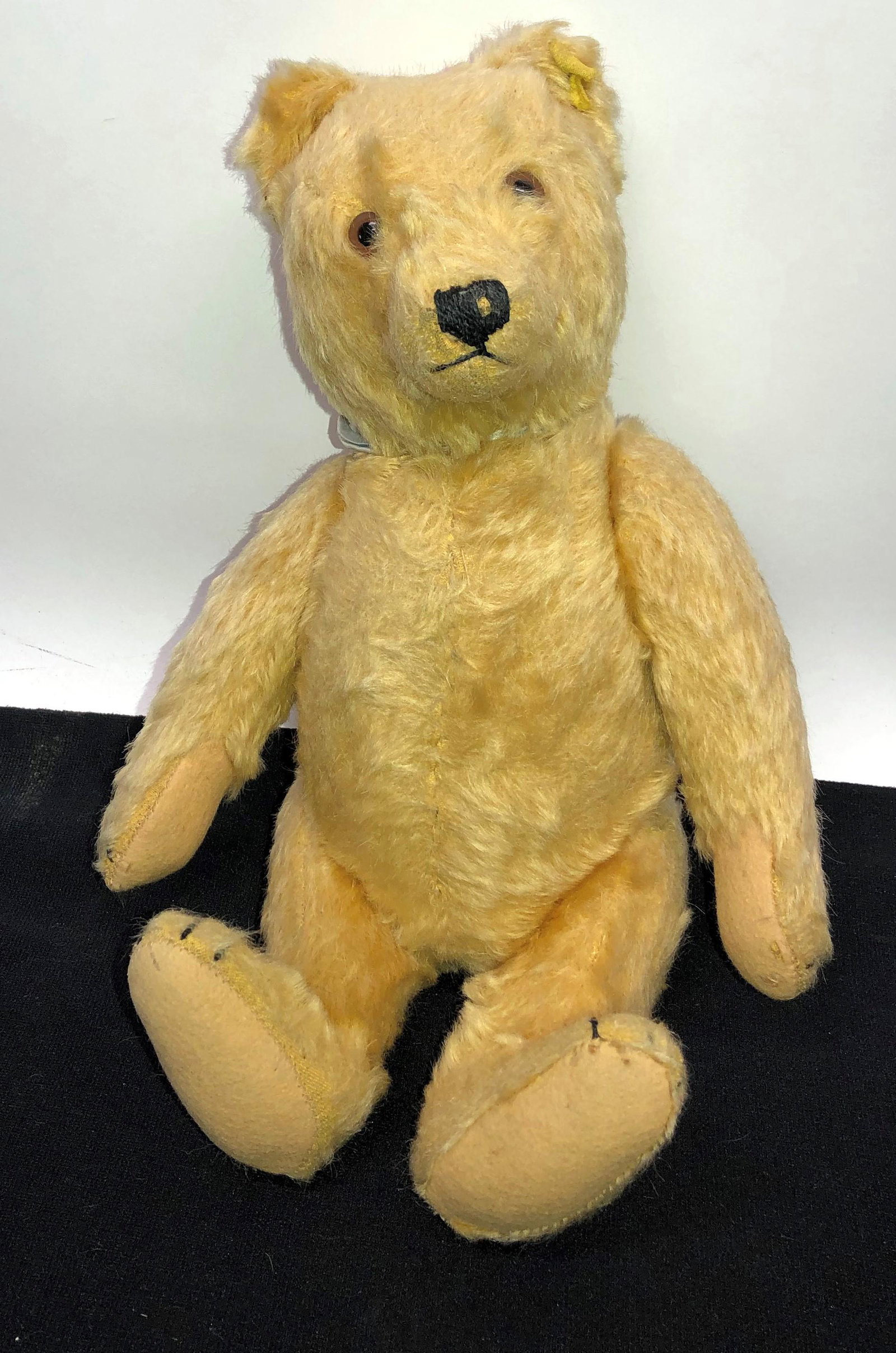 STEIFF BEAR: Ear button and partial yellow tag; H-13"; normal wear; G-VG