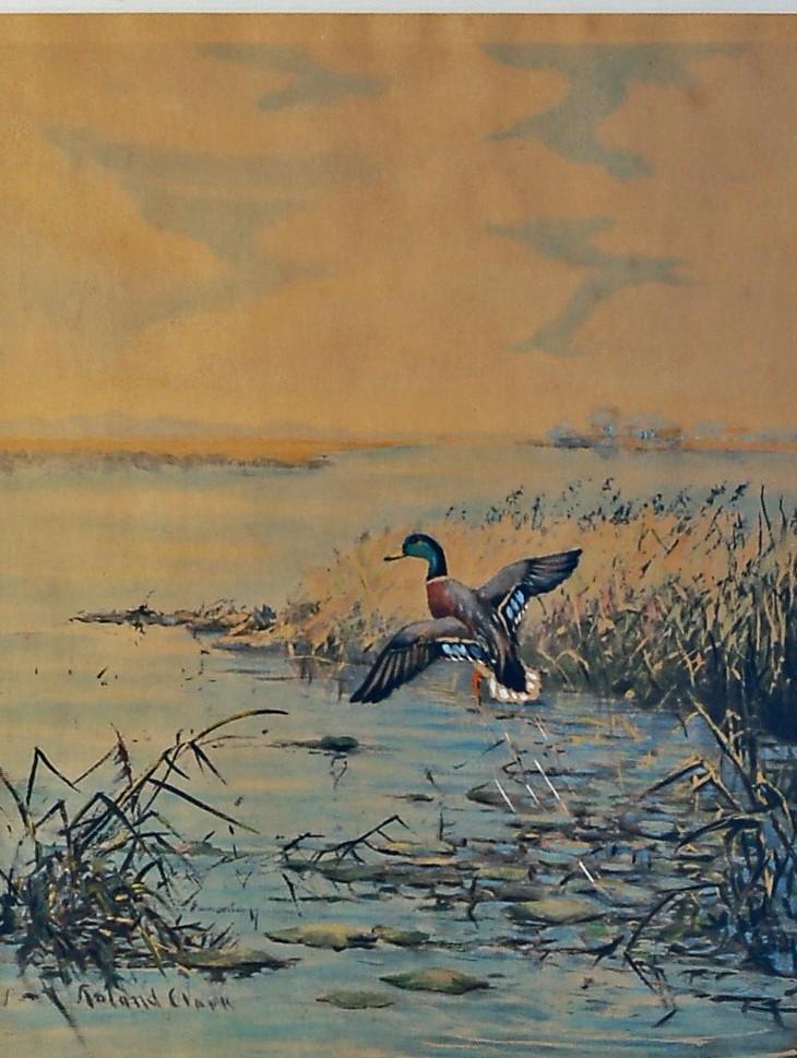 ROLAND CLARK MALLARD PRINT "UP AND AWAY": Mixed media, signed Roland Clark. Toning. Framed and matted image H- 21" W- 16.5" F-G