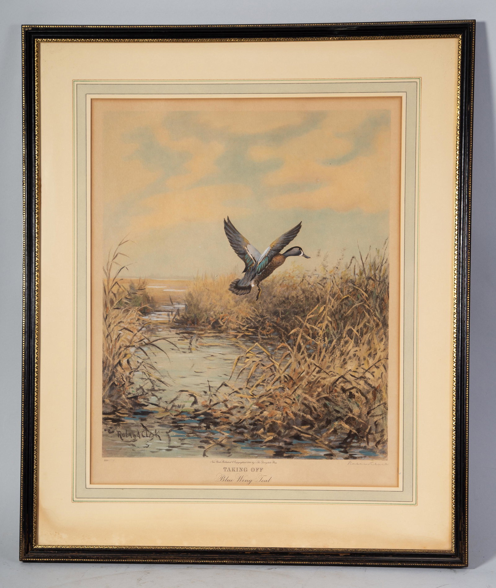 ROLAND CLARK DUCK ENGRAVING: "Bluewing Teal" "Taking Off". Signed in pencil. 178/250. Matted & framed. 21" x17". Some toning G-VG