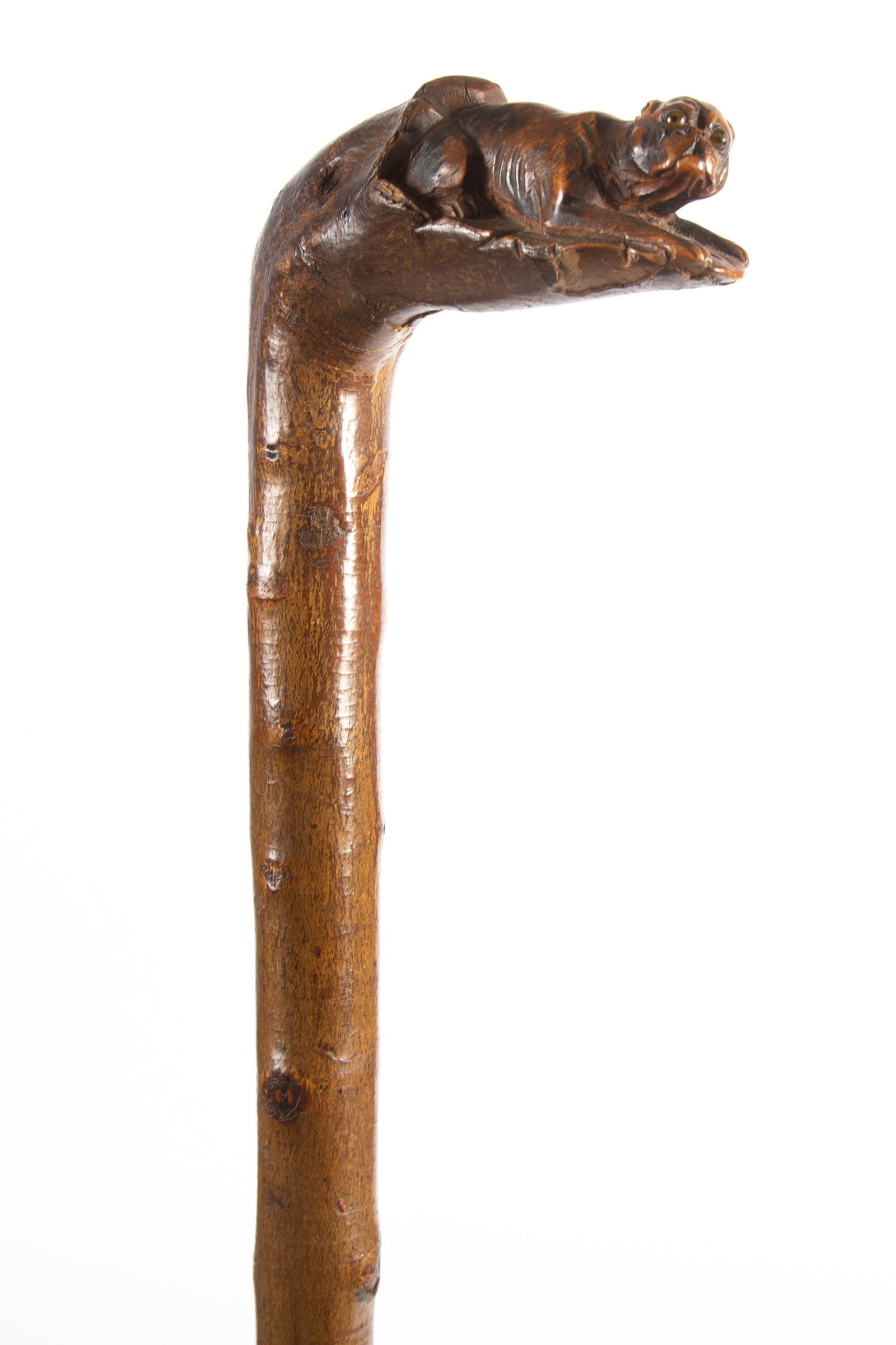 PUG DOG CANE (1 of 4)