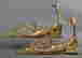 item-128272789=3