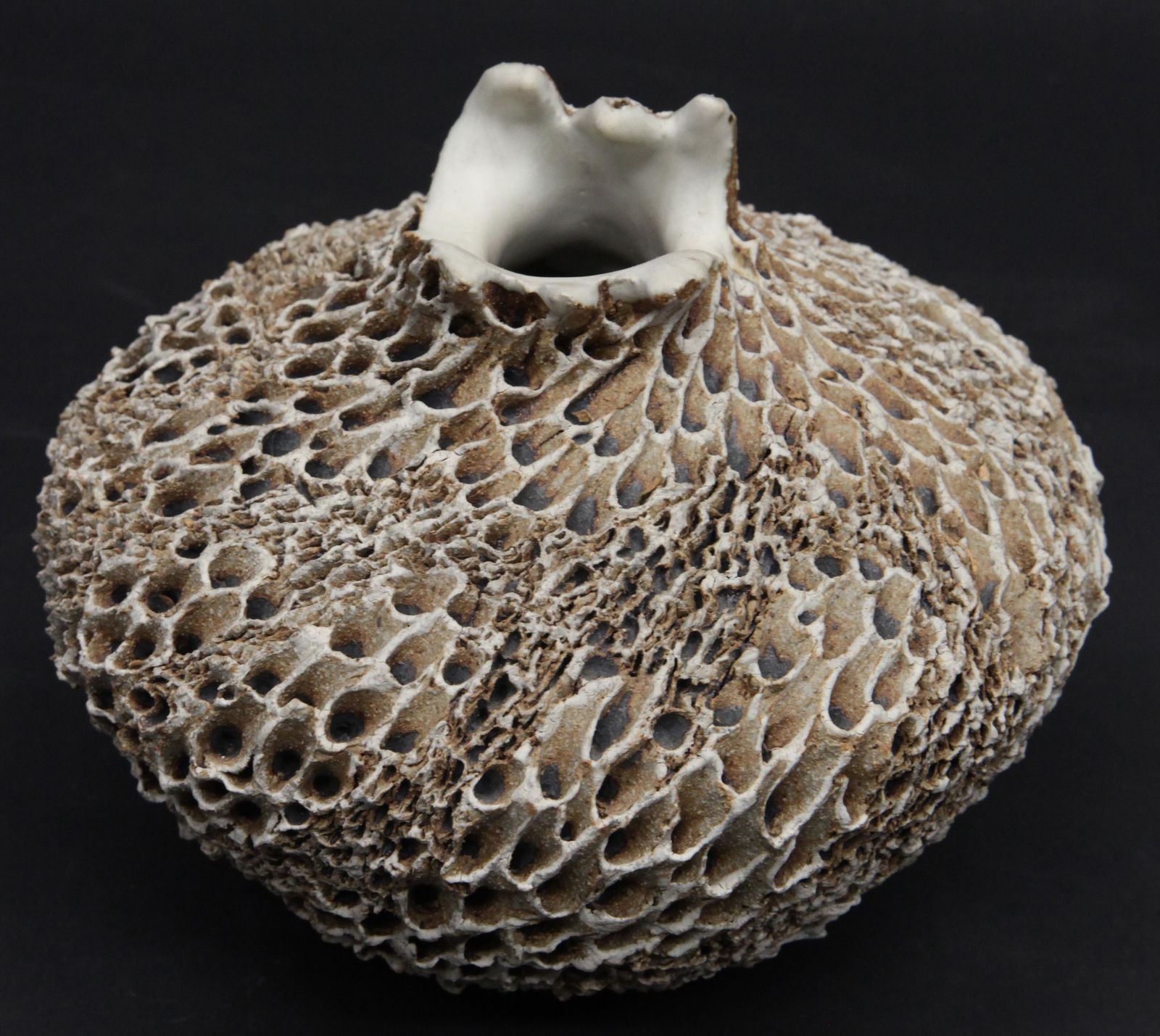 ANNE GOLDMAN VESSEL (1 of 3)