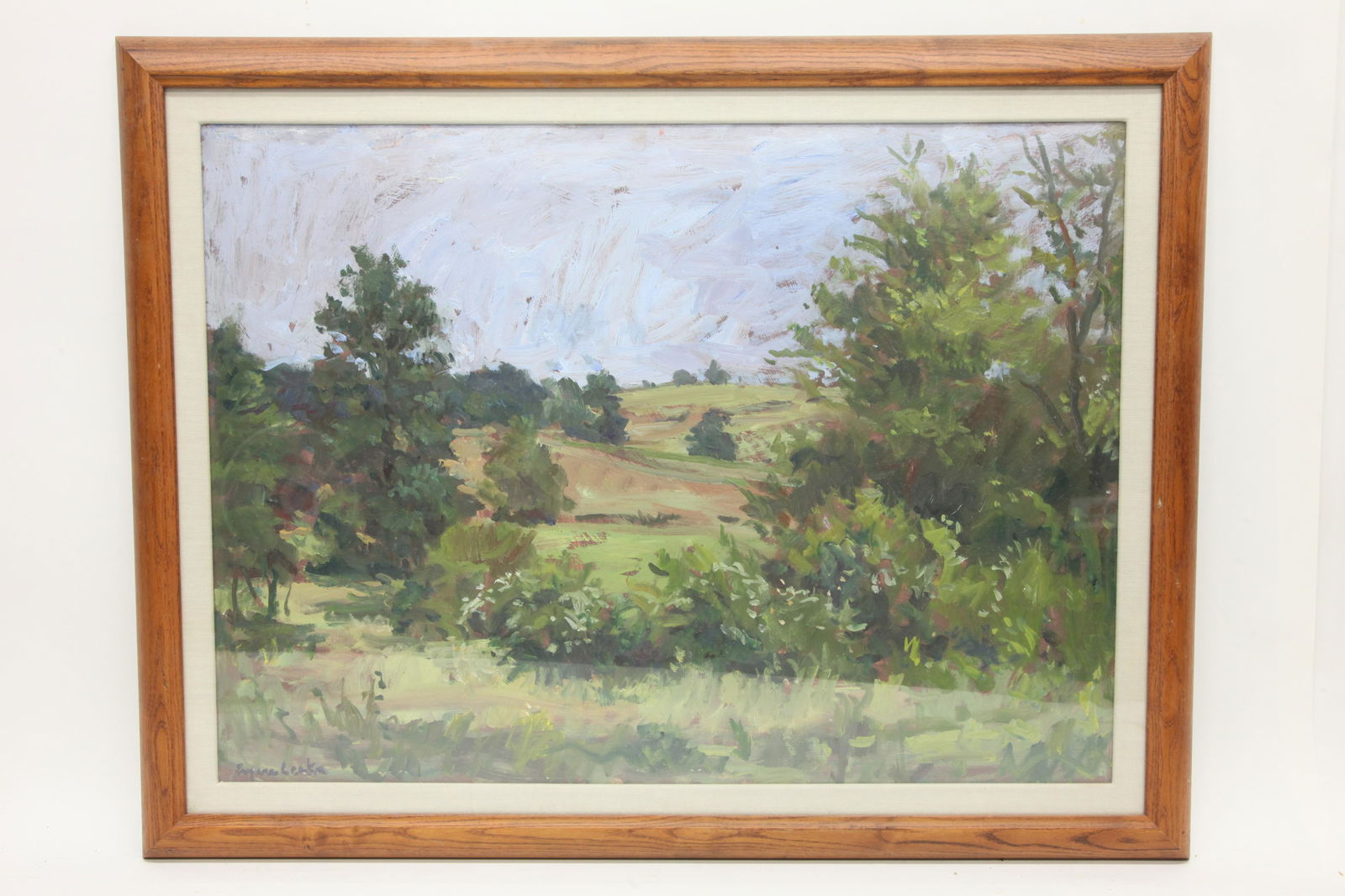 EUGENE LEAKE LANDSCAPE (1 of 5)