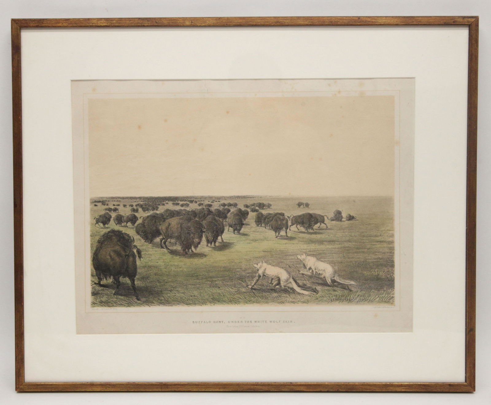 BUFFALO  HUNT ENGRAVING (1 of 6)