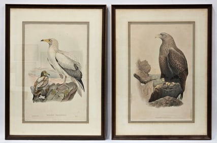 RICHTER BIRD LITHOGRAPHS (2)
