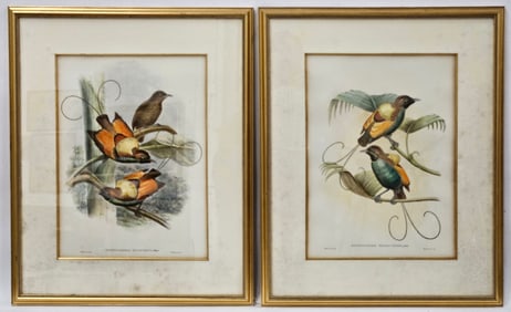 TROPICAL BIRD LITHOGRAPHS (2)